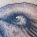Tattoos - Skull-in-mouth - 45672