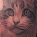 tattoo galleries/ - cats tattoo