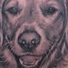 tattoo galleries/ - Dog Portrait Tattoo
