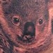tattoo galleries/ - Koala Bear
