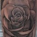 Tattoos - Rose Tattoo - 44936