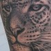 Tattoos - Tiger Tattoo - 34604