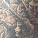 Tattoos - bio-organic cave tattoo - 73225