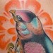 tattoo galleries/ - Bird with Mix Tape - 38929