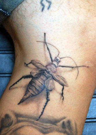Black and Gray bug tattoo Tattoo Design Thumbnail