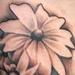 Black and Gray skull with blackeye susans Tattoo Thumbnail