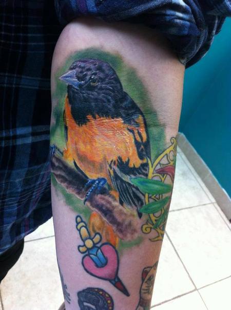 Tattoos - In-progress Oriole Bird Tattoo - 104059