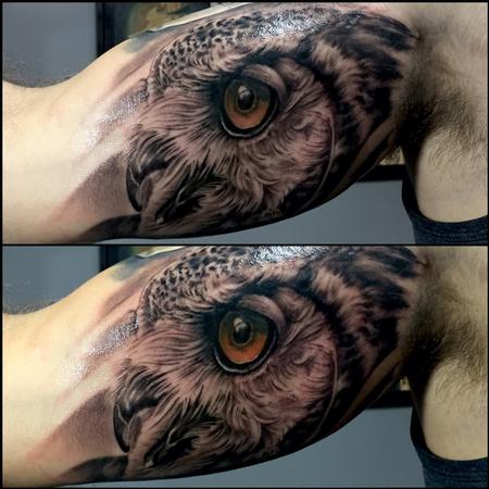 owl tattoo inner arm