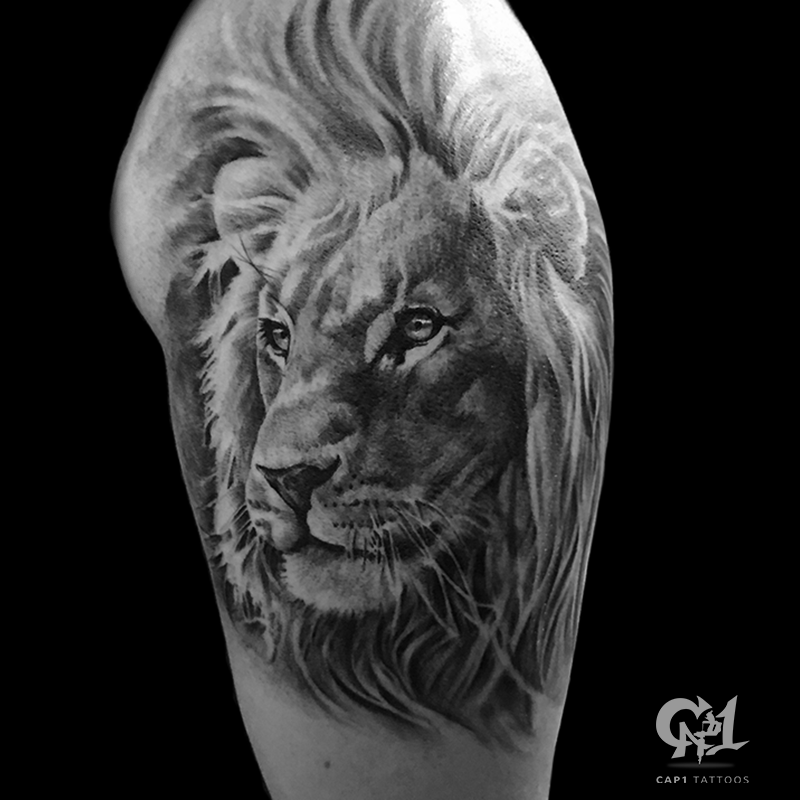 cap1 tattoos tattoos capone realistic lion tattoo cap1 tattoos tattoos capone realistic lion tattoo