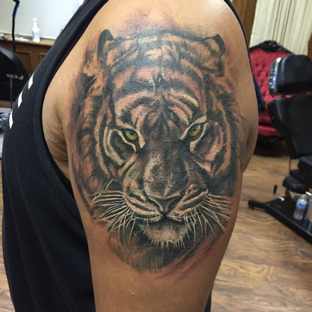 Tattoos - Black and grey tiger (Cover Up) with deep set forest green eyes - 119169