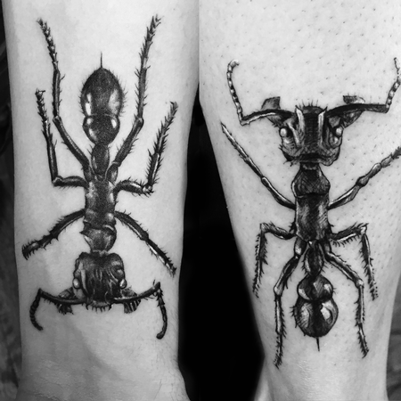 Capone - Matching Ant Tattoos (Arm and Leg)