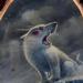 Art Galleries - 