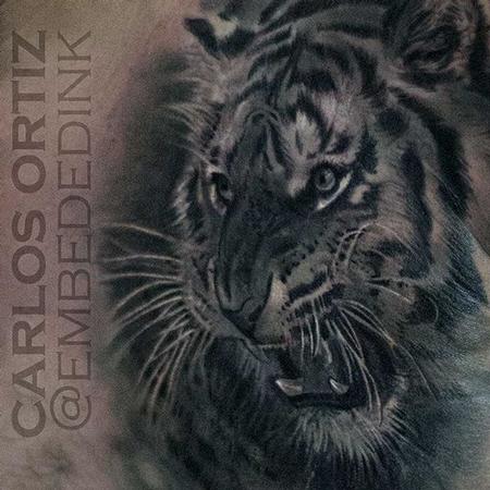 Carlos Ortiz - Black and Grey Tiger