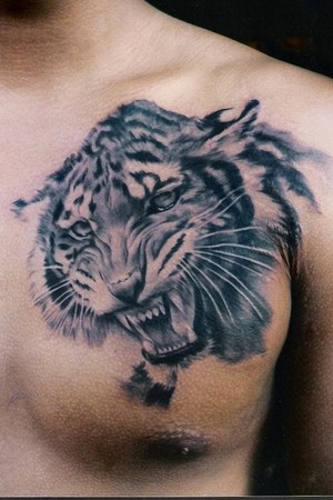 Tattoos -  - 38951