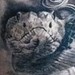 tattoo galleries/ - Snake Tattoo