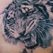 tattoo galleries/ - 