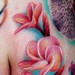 tattoo galleries/ - Plumeria