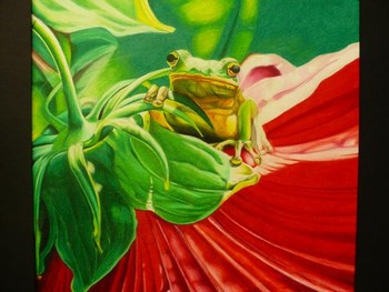 Tattoos - Frog - 35754