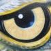 Lookin With My Eagle Eye Original Art Design Thumbnail