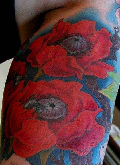 Chris Dingwell - POPPIES!!