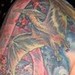 Tattoos - DNA Sleeve - 45640