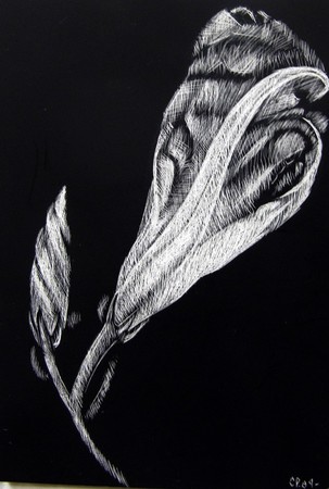 Art Galleries - flower