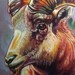 tattoo galleries/ - goat  - 51015