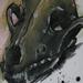 Art Galleries - Animal Skull  - 63903