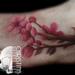Tattoos - Cherry Blossom Branch - 70023