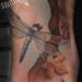 Tattoos - Dragonfly and Maple - 72826