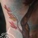Tattoos - Dragonfly and Maple, second view - 72827