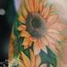 Tattoos - Sunflowers - 74407