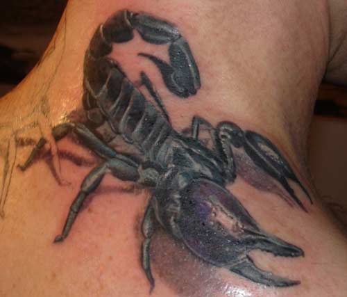 scorpian tattoos. Black scorpian tattoo