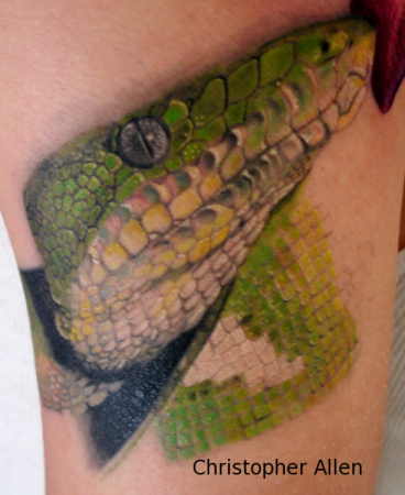 ... : Tattoos : Nature Animal Snake : Emerald Tree Boa 