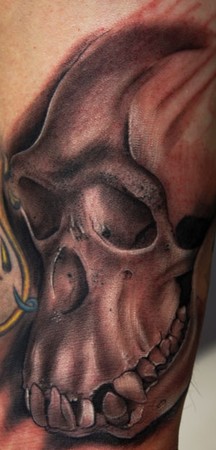 Christopher Allen - Chimpanzee skull, first session