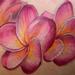 Tattoos - flowers - 56638