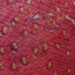Tattoos - strawberry - 29825