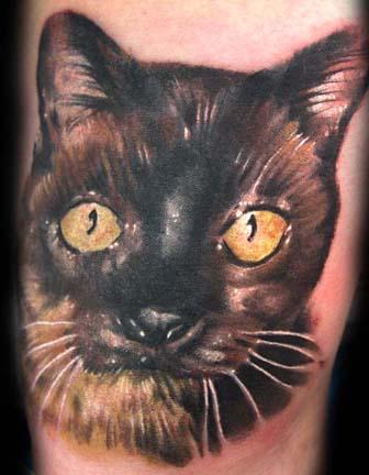 Cory Norris Cat Tattoo