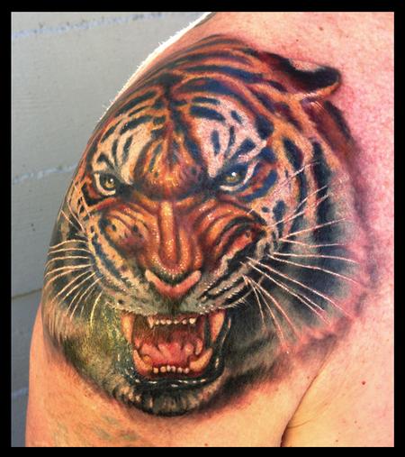 Cory Norris - Realistic tiger