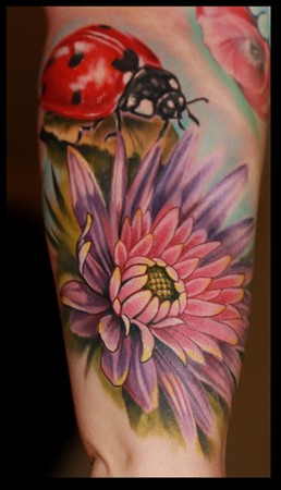 Cory Norris - Ladybug and flower