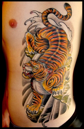 Looking for unique Cory Norris Tattoos Tiger on ribs