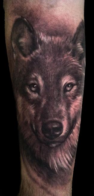 Cory Norris - wolf