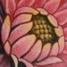 Tattoos - Ladybug and flower - 35522