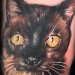 Tattoos - Cat Tattoo - 26998