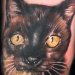 Tattoos - Cat Tattoo - 26998
