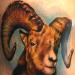 Tattoos - Ram Tattoo - 26994