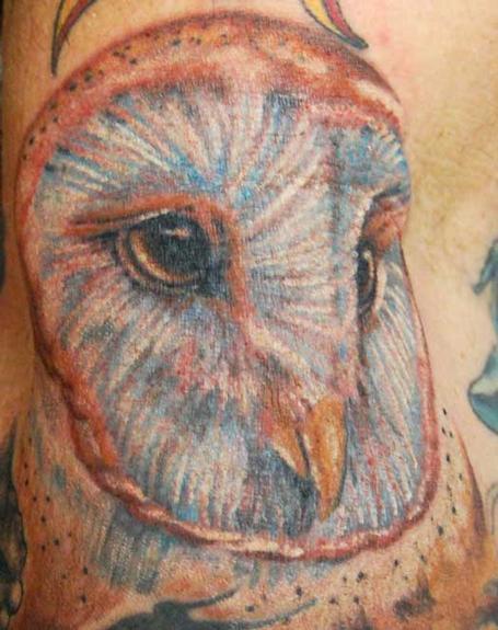 Barn Owl Tattoo