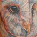 tattoo galleries/ - barn owl - 53403