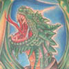 tattoo galleries/ - Dragon back piece - 51287