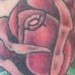 tattoo galleries/ - Rose tattoo